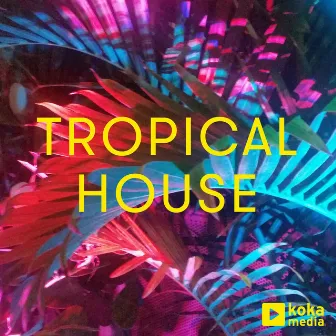 Tropical House by Bustafunk