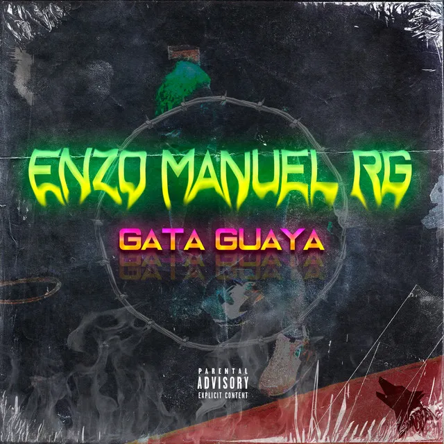 Gata Guaya