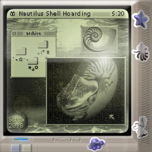 Nautilus Shell Hoarding