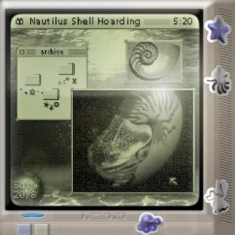 Nautilus Shell Hoarding by plastic pet