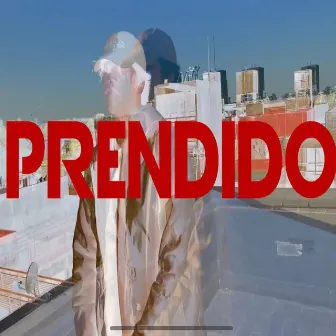 prendido by Kaly