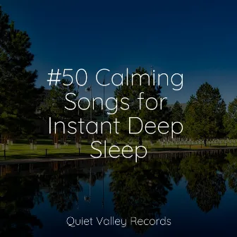 #50 Calming Songs for Instant Deep Sleep by Rain and Nature