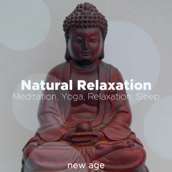 Natural Relaxation - Relaxing Instrumental Blissful Music for Meditation, Yoga, Relaxation, Sleep by Relaxation J. Trainer