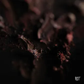 Rot by Conjurer