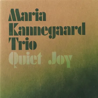 Quiet Joy by Maria Kannegaard Trio