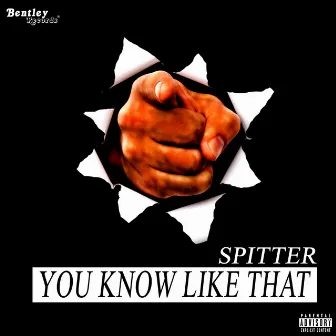 You Know Like That by Spitter