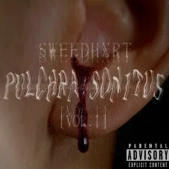 PULCHRA SONITUS, Vol. 1 by SWEEDHXRT