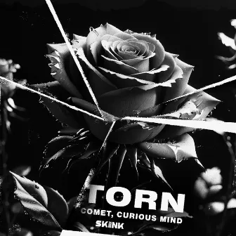 Torn by Curious Mind