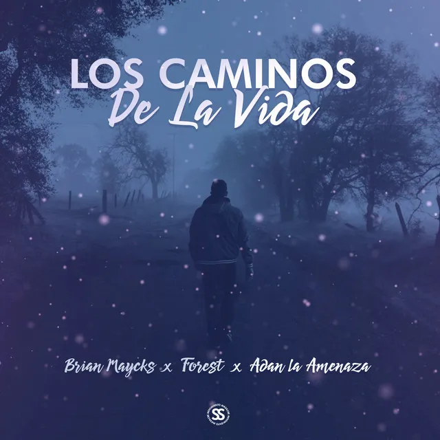 Los Caminos de la Vida