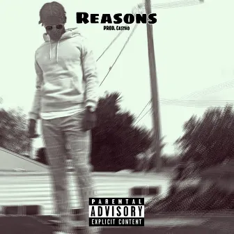 Reasons by Diverse