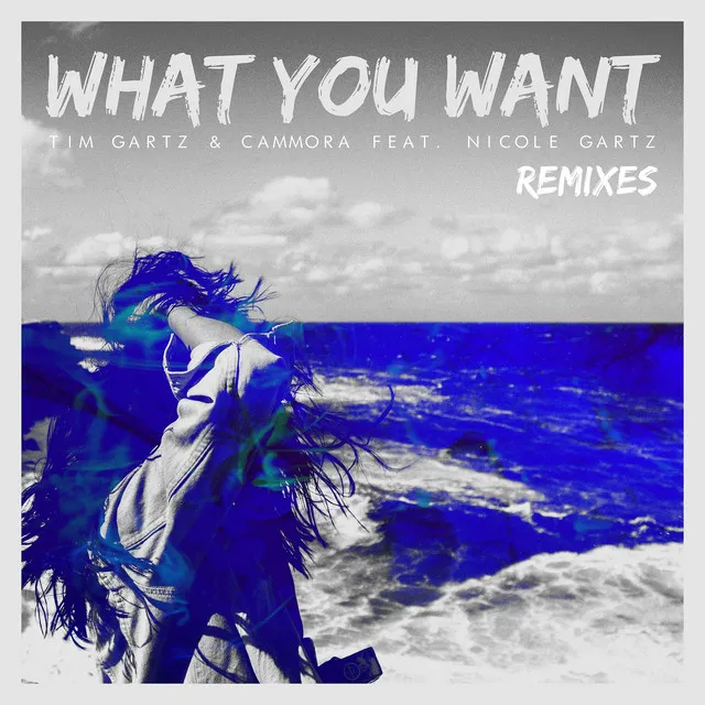 What You Want (feat. Nicole Gartz) - Sophill Remix