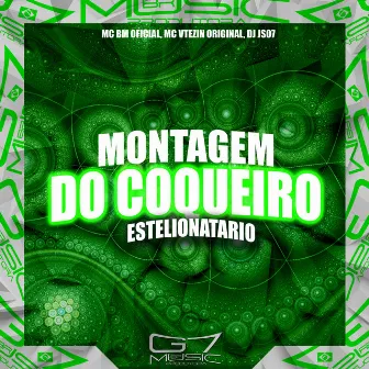 Montagem Do Coqueiro Estelionatario by MC VTEZIN ORIGINAL