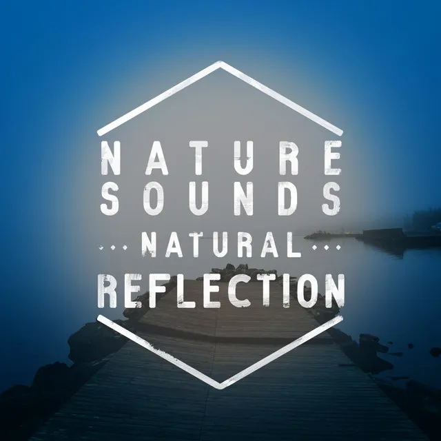 Nature Sounds: Natural Relaxation