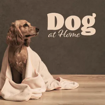 Dog At Home: Music To Help Calm And Tame Your Dog by Pet Love Academy