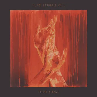 Can't Forget You by NEVR KNØW