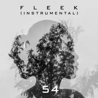 Fleek (Instrumental) by 54