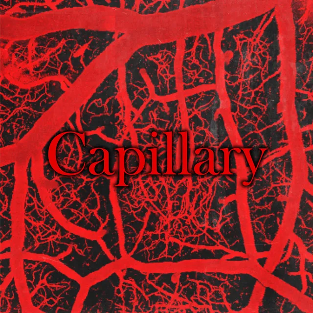 Capillary