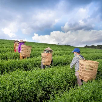 Nature's Work Rhythm: Binaural Harmonies for Productivity by Nature Orchestra