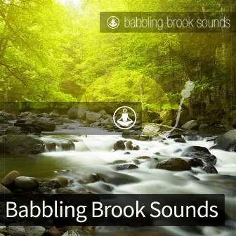 Babbling Brook Sounds by Tracks of Nature