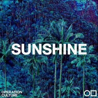 Sunshine by Operation Culture