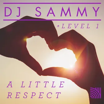 A Little Respect by DJ Sammy