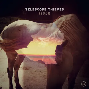 Bloom by Telescope Thieves