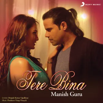 Tere Bina by Manish Guru