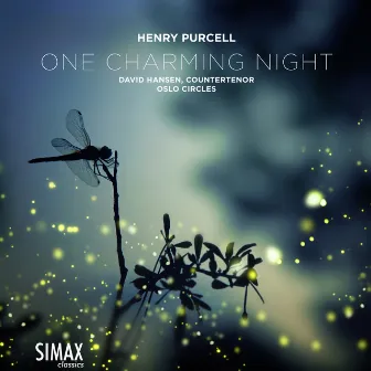 One Charming Night by David Hansen