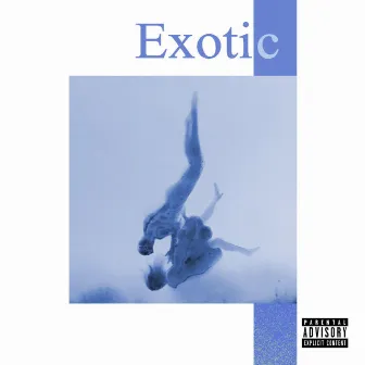 Exotic. by Saint Parrish