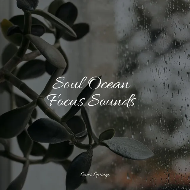 Soul Ocean Focus Sounds