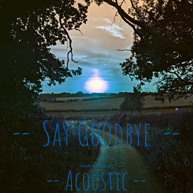 Say Goodbye - Acoustic