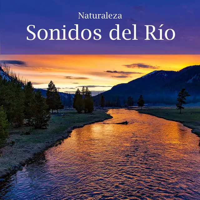 Naturaleza Sonidos del Rio, Pt. 19