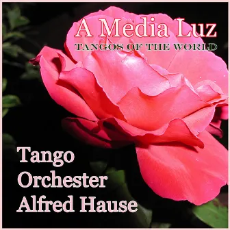 A Media Luz - Tangos of the World by Tango Orchester Alfred Hause