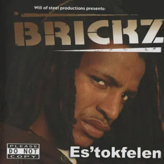 Es'tokfeleni by Brickz