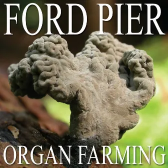 Organ Farming by Ford Pier