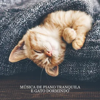 Música de Piano Tranquila e Gato Dormindo: Música Relaxante para a Hora da Sesta (Animais de Estimação em Casa) by Academia de Música para Animais