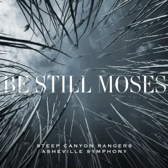 Be Still Moses by Steep Canyon Rangers