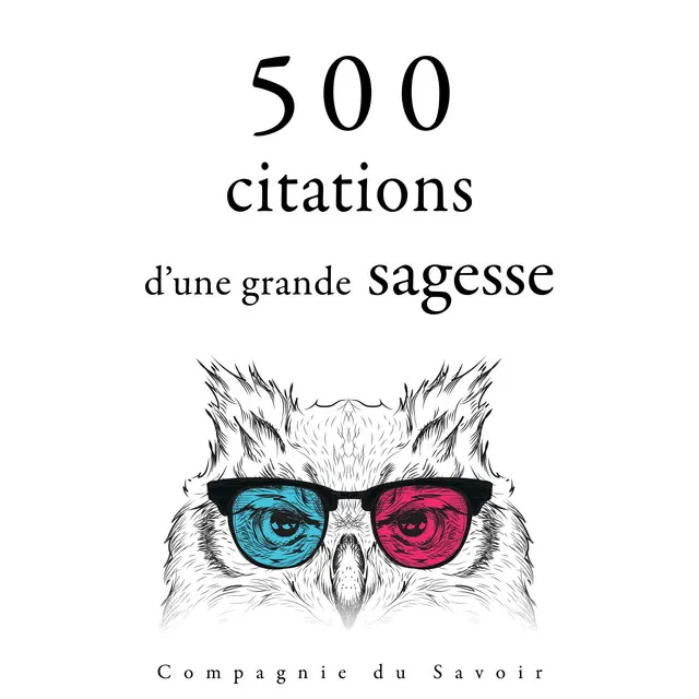 Chapter 1.3 - 500 citations d'une grande sagesse