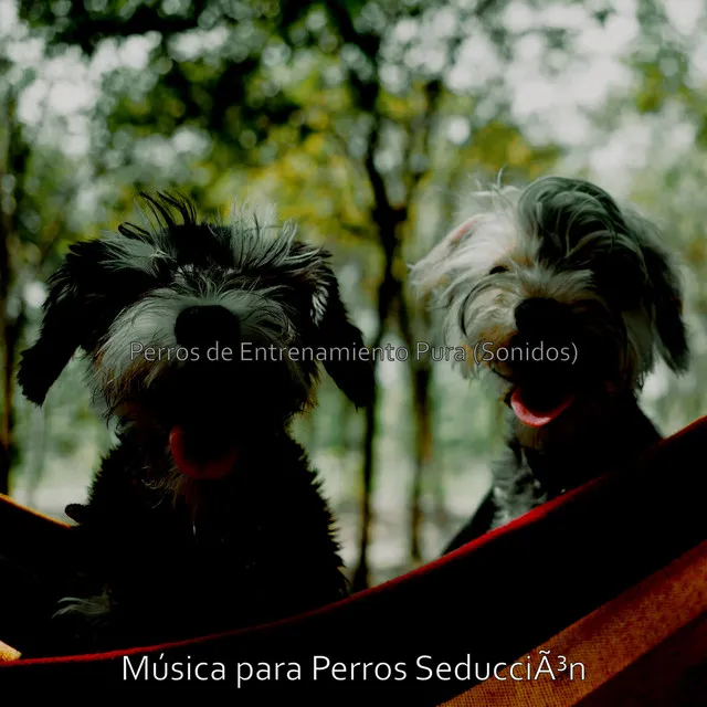 Perros de Entrenamiento Pura (Sonidos)