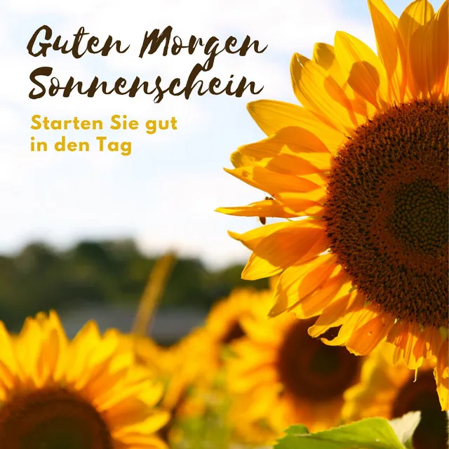 Guten Morgen Sonnenschein – Starten Sie gut in den Tag