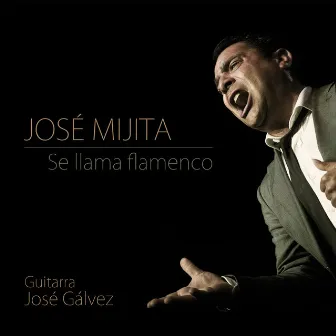 Se Llama Flamenco by José Mijita