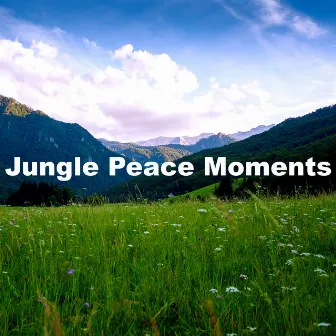 Jungle Peace Moments by Naturescapes for Mindfulness Meditation