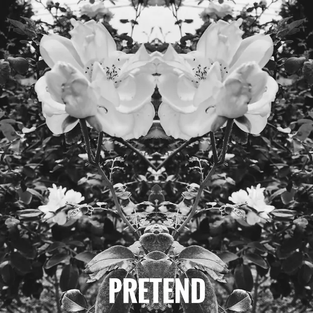 Pretend