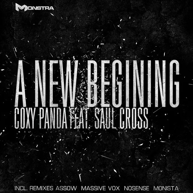 A New Begining - Original Mix