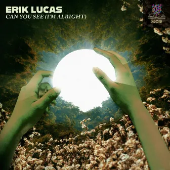 Can You See (I'm Alright) by Erik Lucas