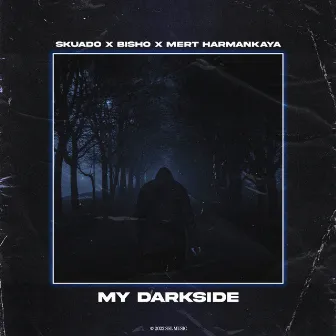 My Darkside by Mert Harmankaya