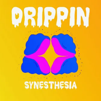 Drippin by Synesthesia Sound