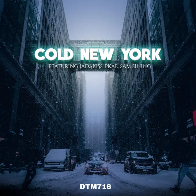 Cold New York