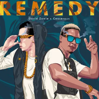 Remedy by David Zowie