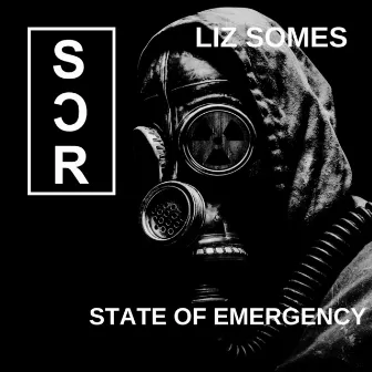 State of Emergency by Liz Somes